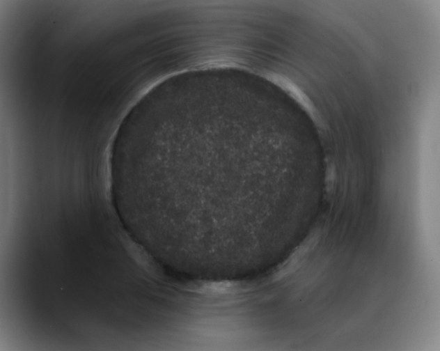 X0000089741031200707121503