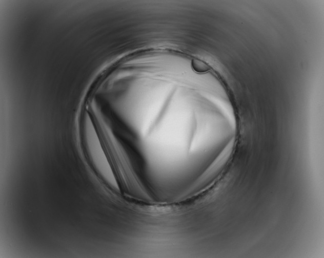 X0000089741032200707121503