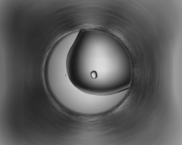 X0000089741034200707121503