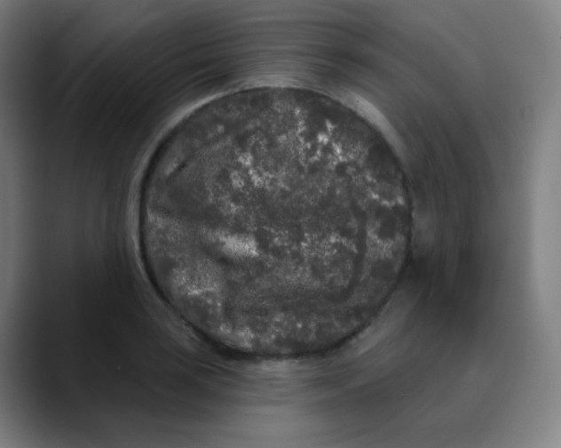 X0000089741035200707121503