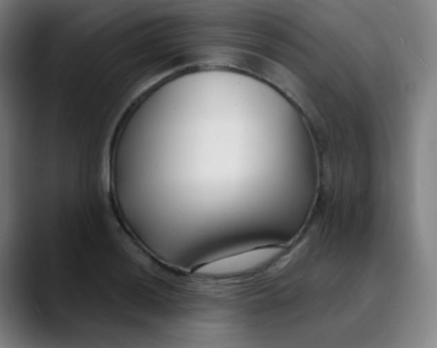 X0000089741036200707121503