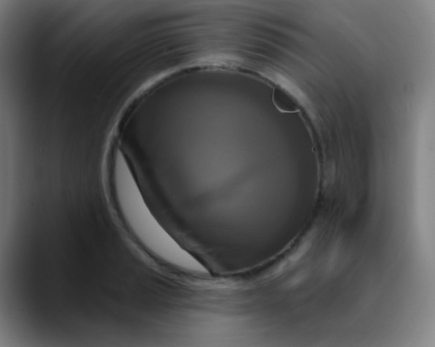 X0000089741037200707121503