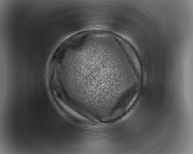 X0000089741038200707121503