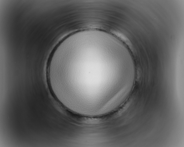 X0000089741039200707121503