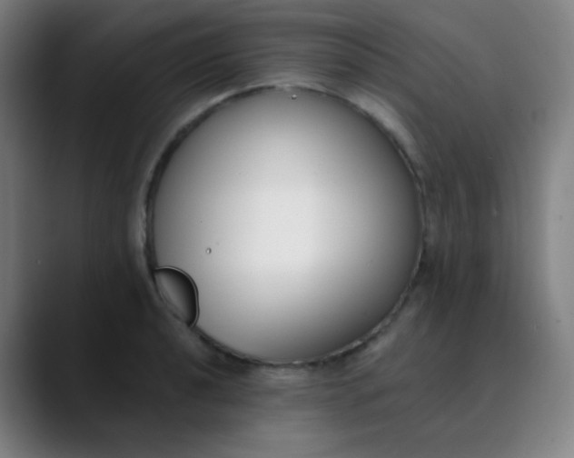 X0000089741040200707121504