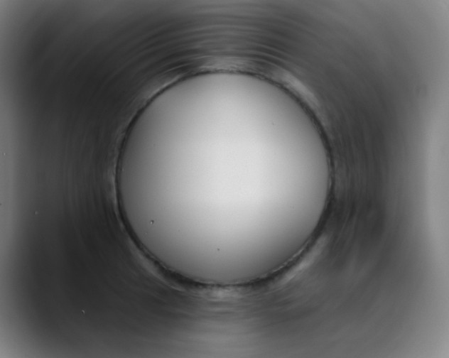 X0000089741041200707121504