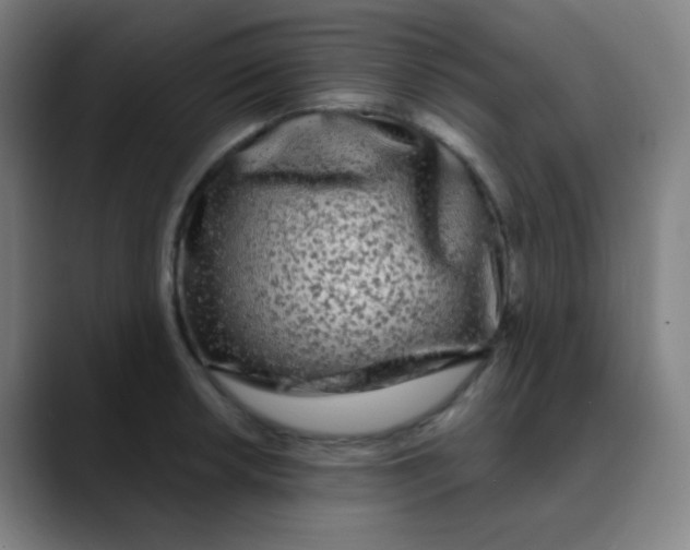 X0000089741042200707121504