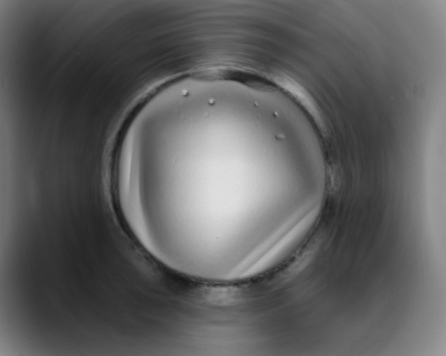 X0000089741043200707121504