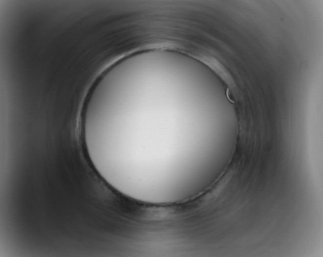 X0000089741044200707121504