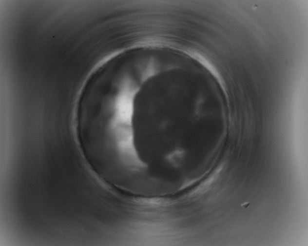 X0000089741045200707121504