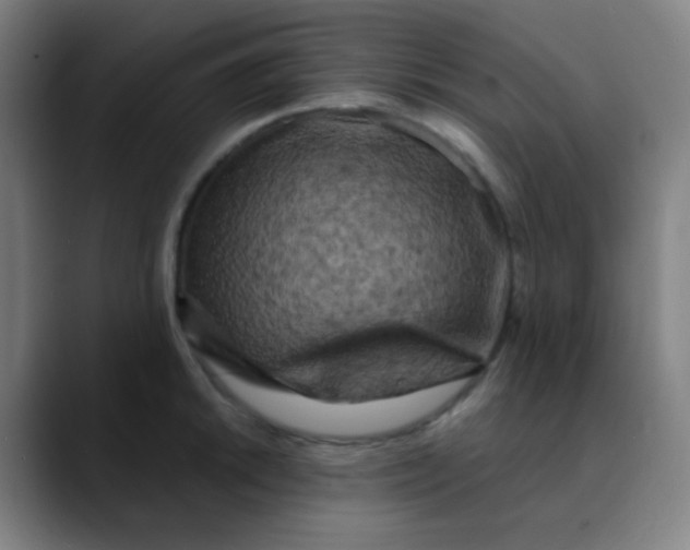 X0000089741046200707121504