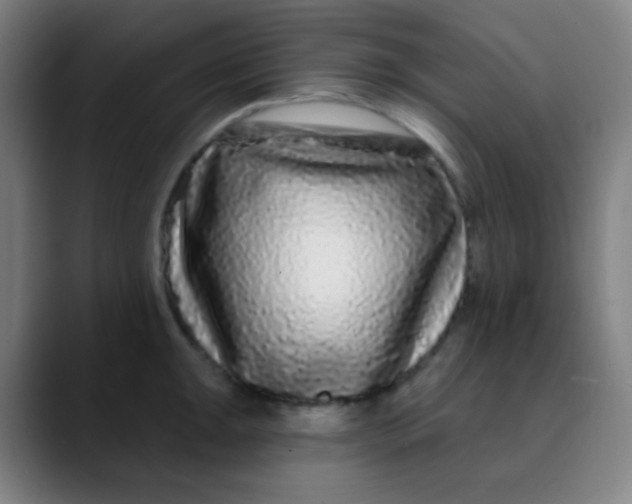 X0000089741047200707121504