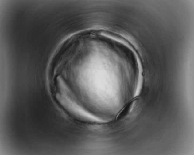 X0000089741048200707121504