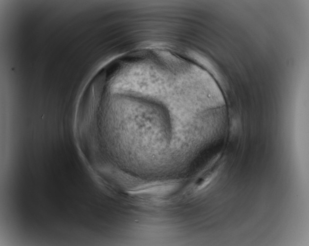 X0000089741050200707121504