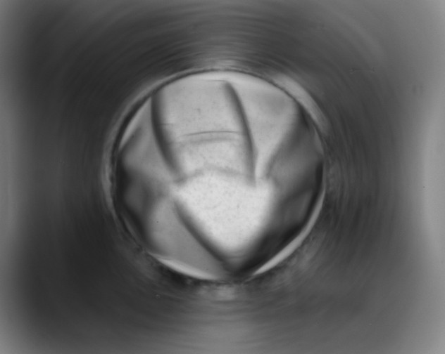 X0000089741051200707121504