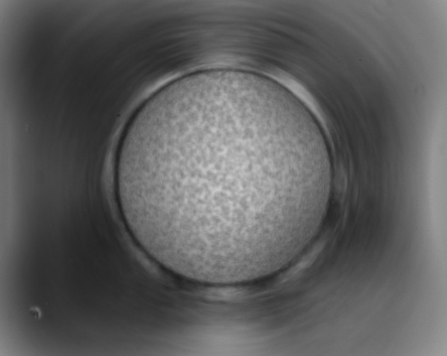 X0000089741053200707121504