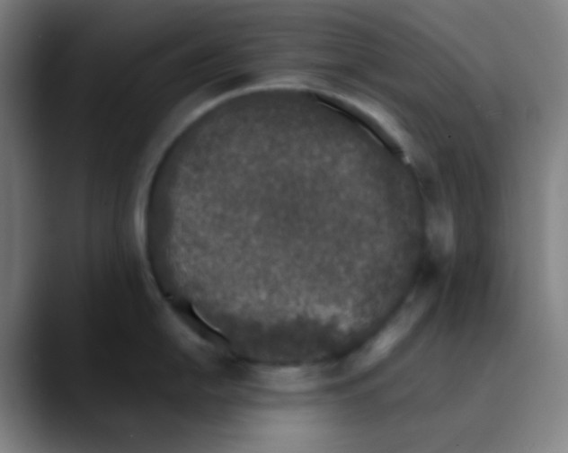 X0000089741054200707121504