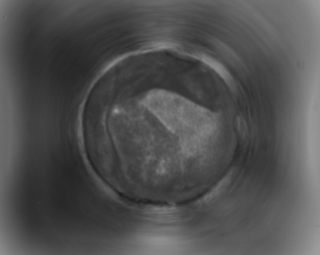 X0000089741055200707121504