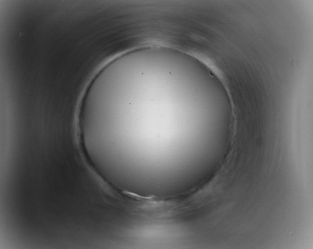 X0000089741056200707121504