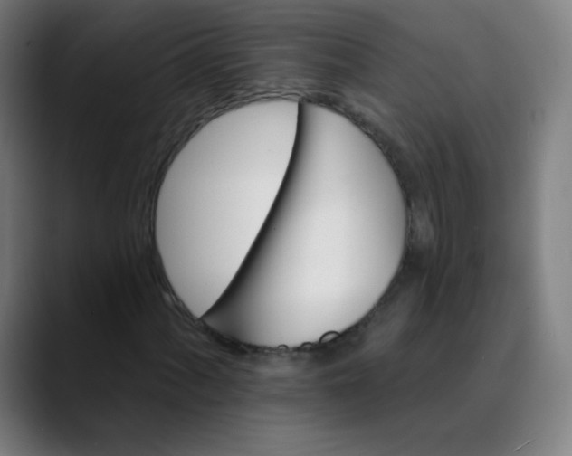 X0000089741060200707121503