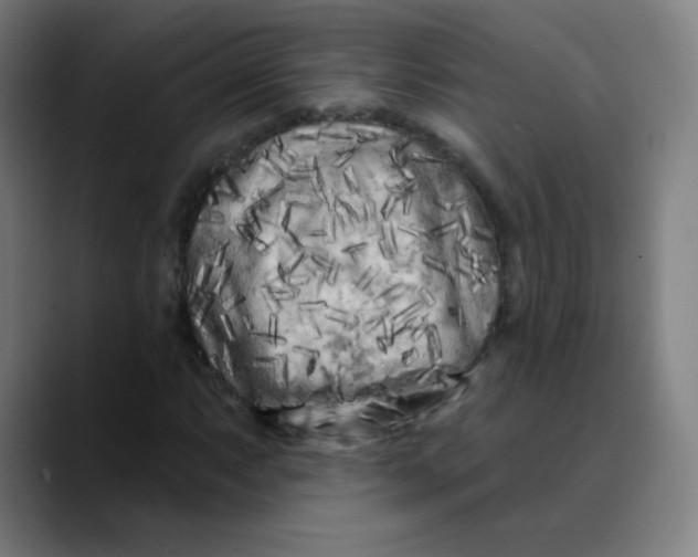 X0000089741063200707121503