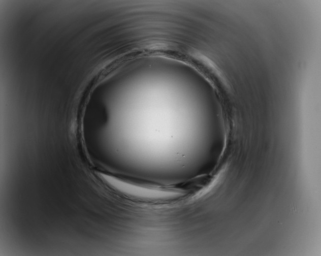 X0000089741065200707121503