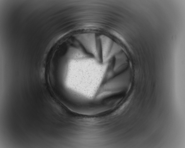 X0000089741066200707121503