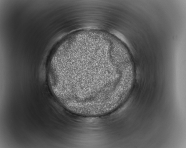 X0000089741067200707121503