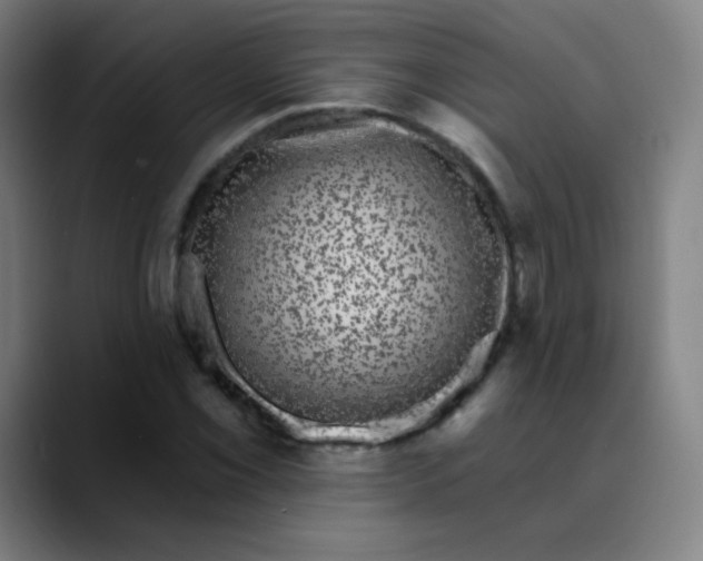 X0000089741069200707121503