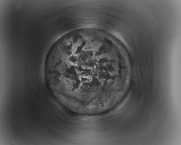 X0000089741071200707121503