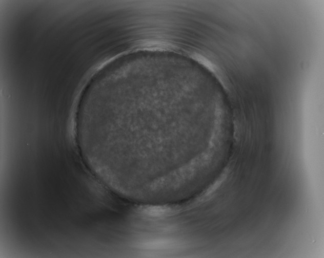 X0000089741074200707121503