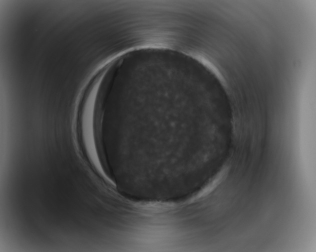 X0000089741077200707121503