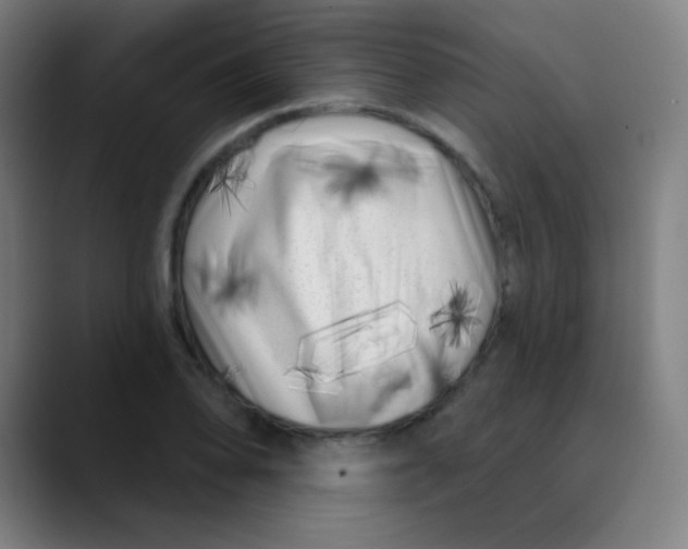 X0000089741078200707121503