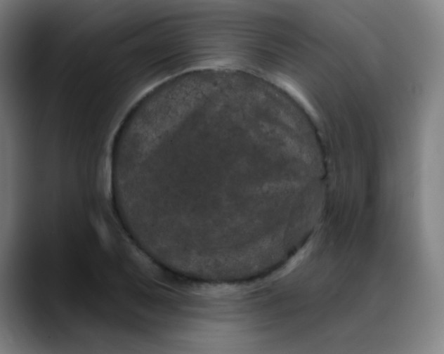 X0000089741079200707121503