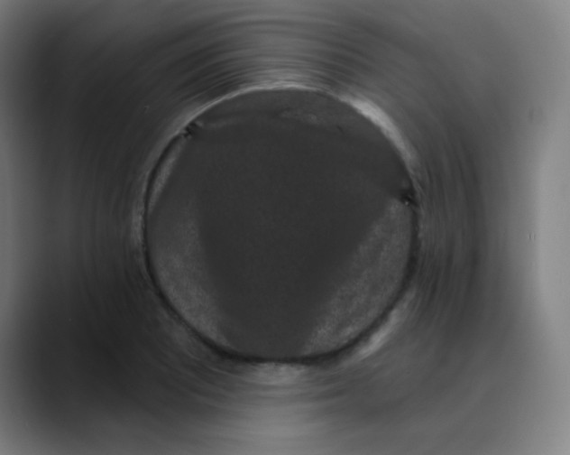 X0000089741081200707121503