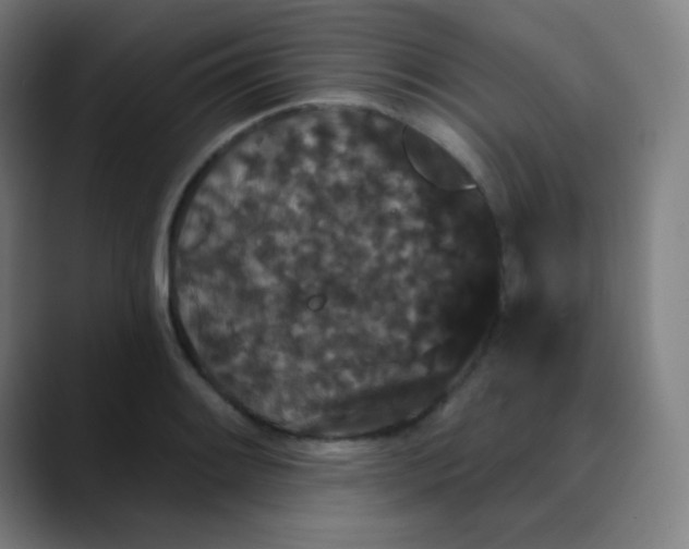 X0000089741084200707121503