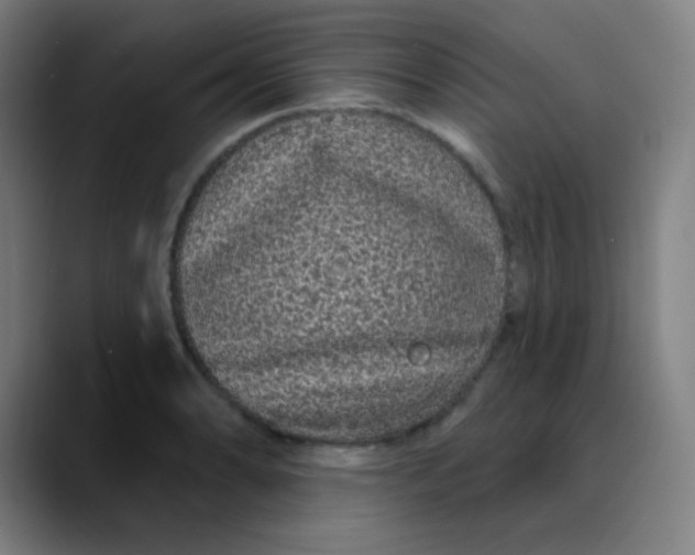 X0000089741086200707121503