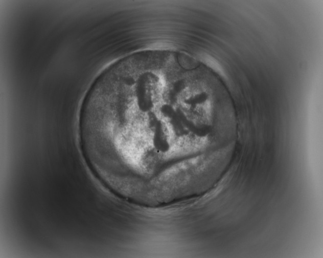 X0000089741087200707121503