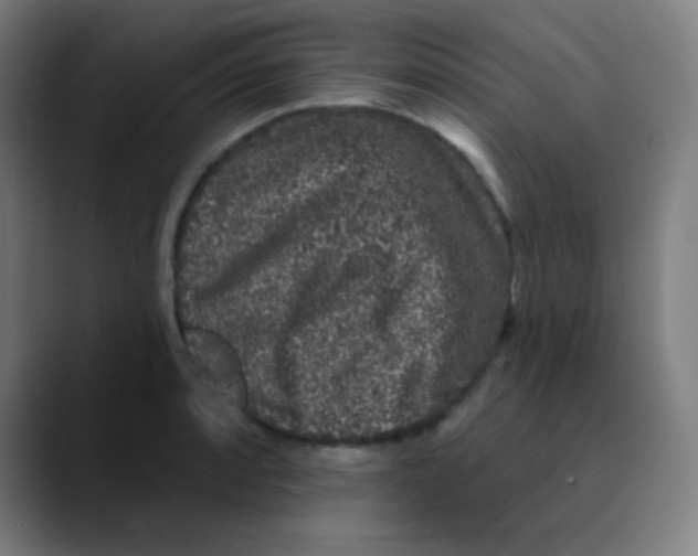 X0000089741088200707121503