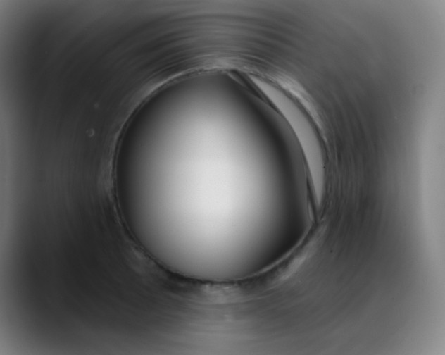 X0000089741089200707121503