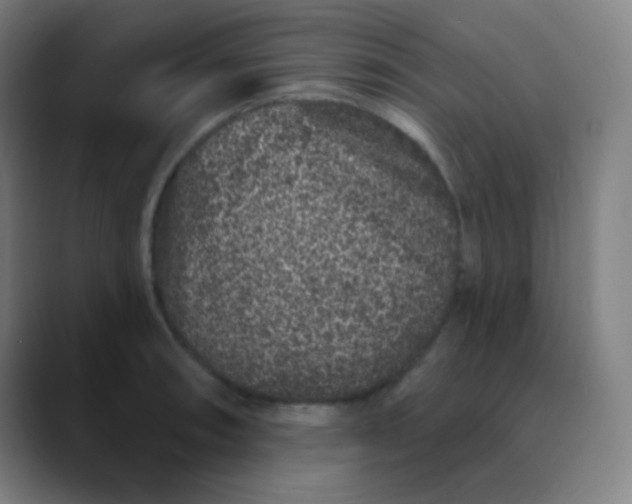 X0000089741090200707121503