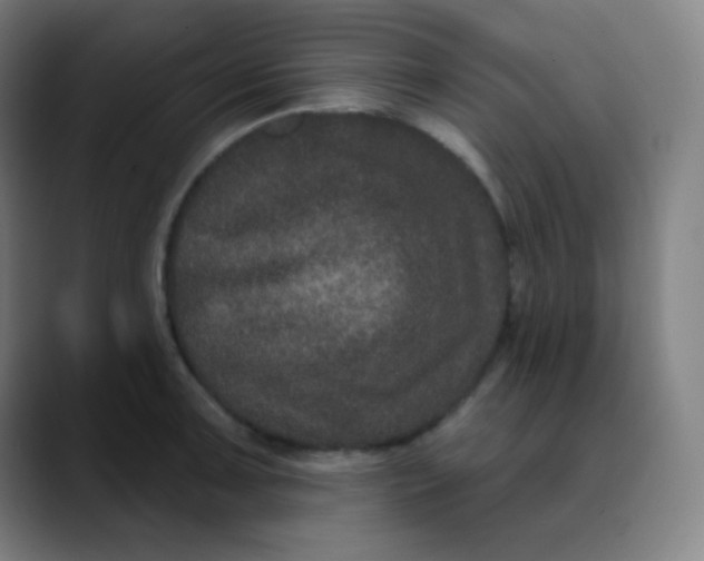 X0000089741091200707121503