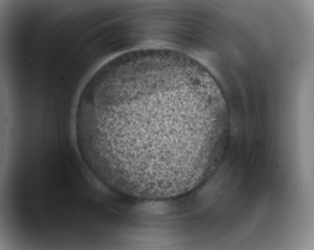 X0000089741094200707121503