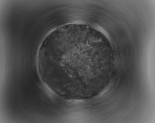 X0000089741095200707121503