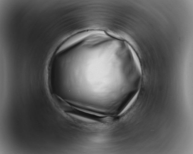 X0000089741096200707121503