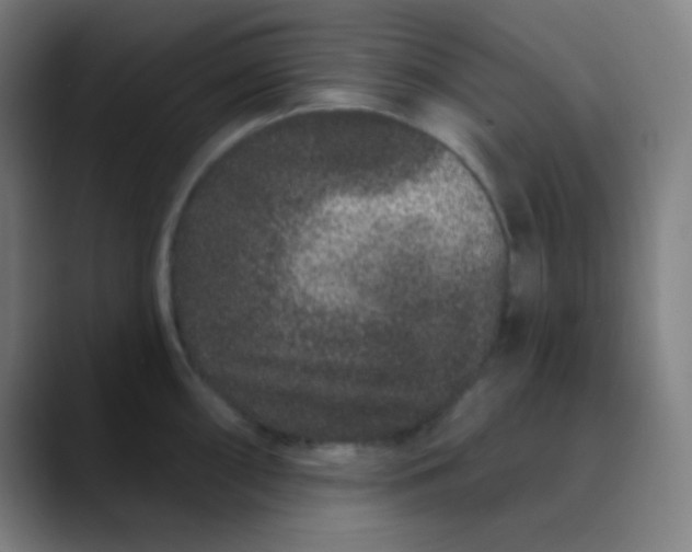 X0000089741098200707121503