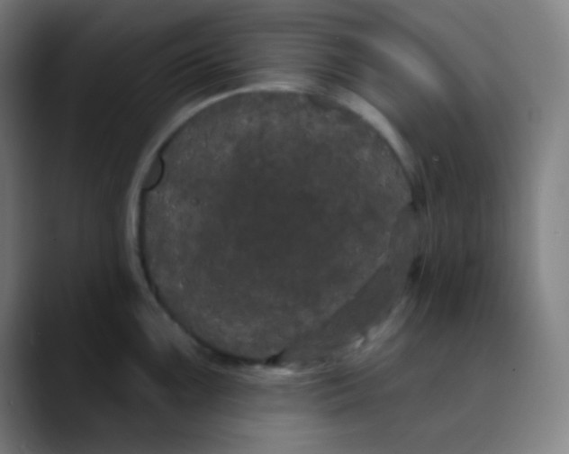 X0000089741099200707121503