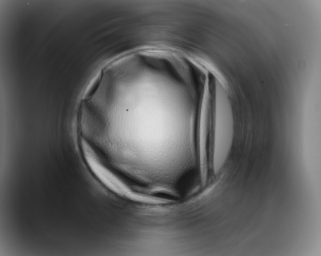 X0000089741100200707121503