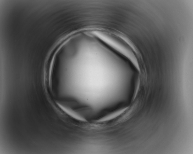 X0000089741101200707121503