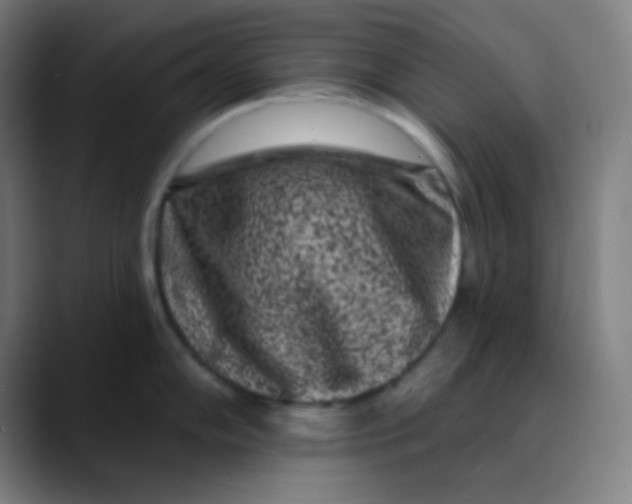 X0000089741102200707121503